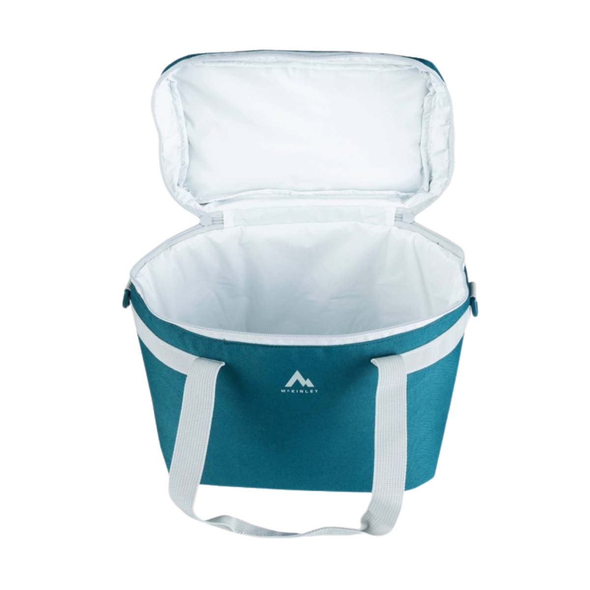 Cooler Bag 4